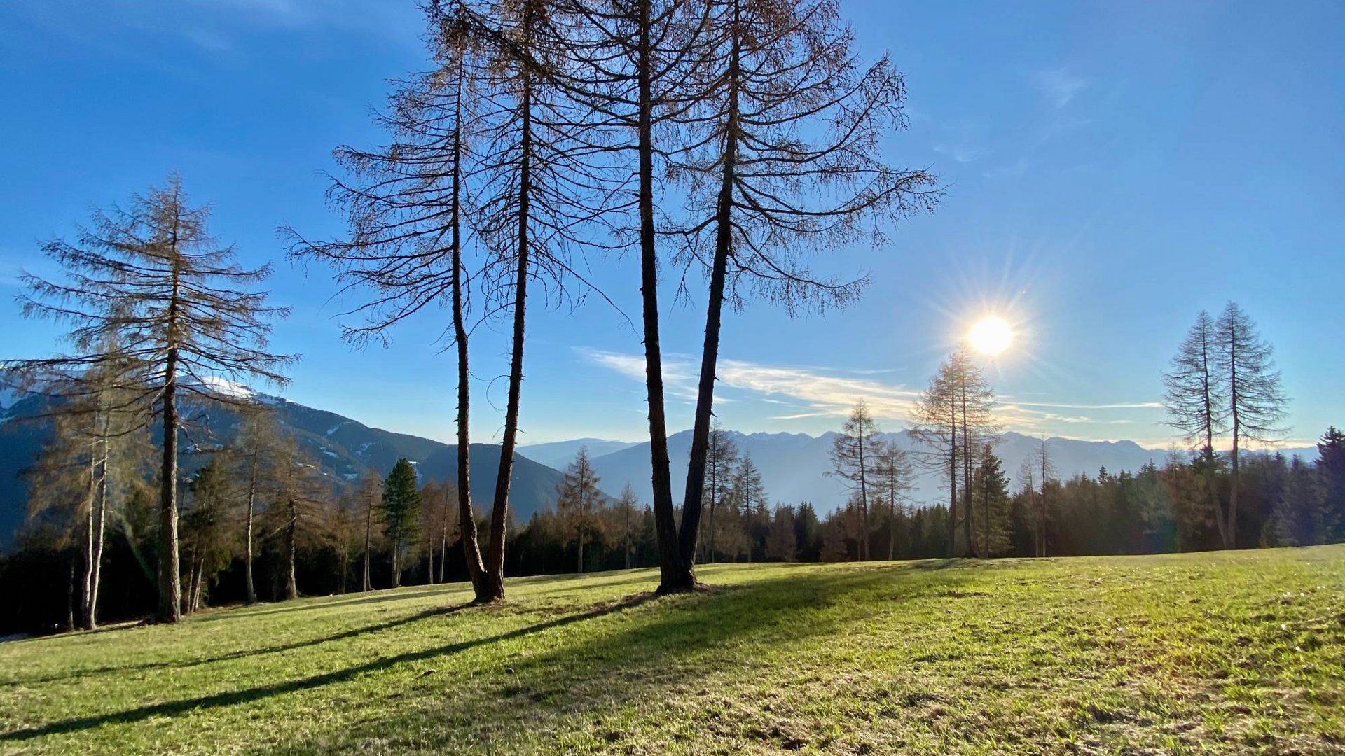 Spring at Herol Spring at Herol