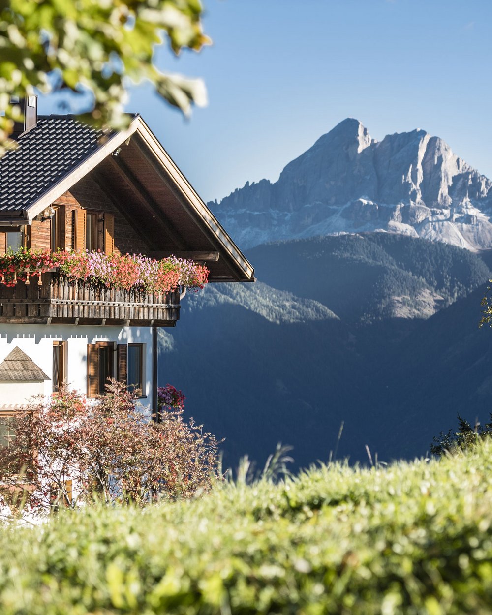 Ost/West panorama room Ost/West panorama room