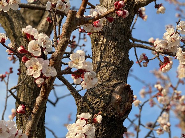 Spring at Herol Spring at Herol