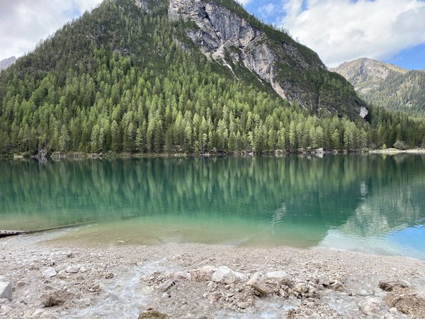 Spring at Herol Spring at Herol