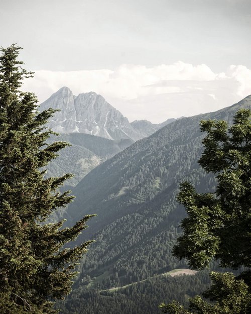 Wellness in Lüsen: In and with nature Wellness in Lüsen: In and with nature