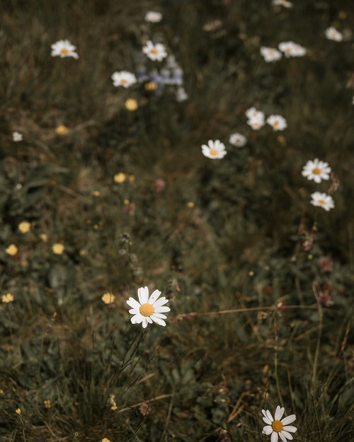 Hotel Lüsen: Herol – my mountain retreat Hotel Lüsen: Herol – my mountain retreat