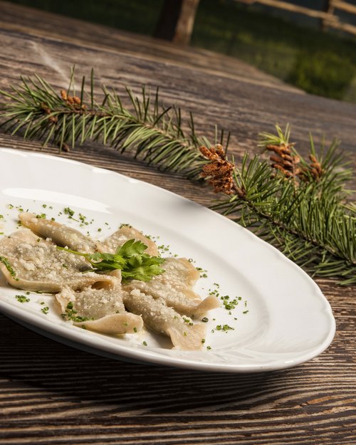 Horse riding in South Tyrol: Freedom on horseback Horse riding in South Tyrol: Freedom on horseback