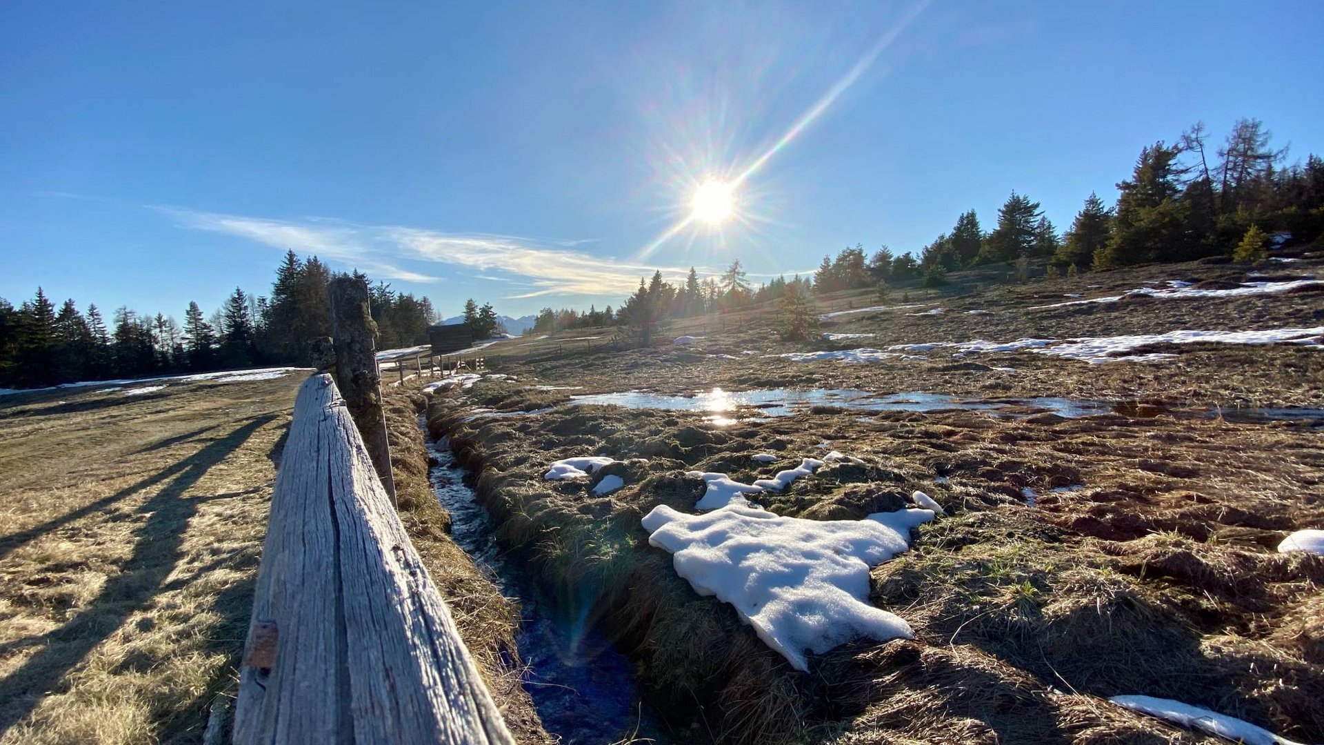 Spring at Herol Spring at Herol