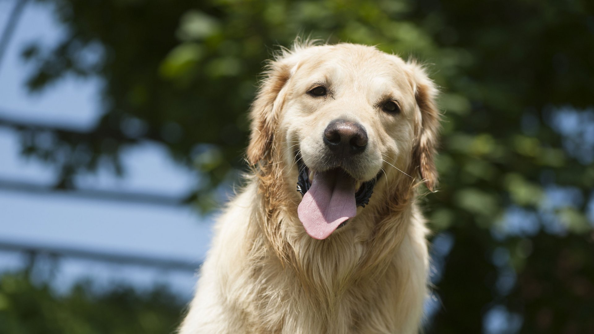 Horse riding in South Tyrol: Freedom on horseback Horse riding in South Tyrol: Freedom on horseback